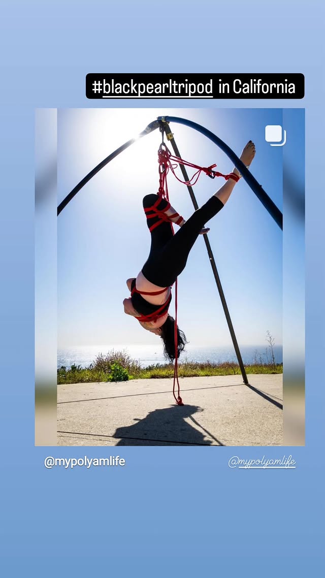 Dragon.Kinbaku Rig 4